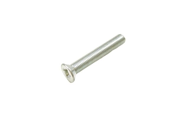 Tornillo de la bisagra de puerta