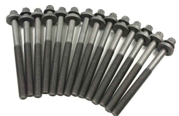 6zaDpn9V_LDY000040ES Kit Tornillos Culata P38 diésel