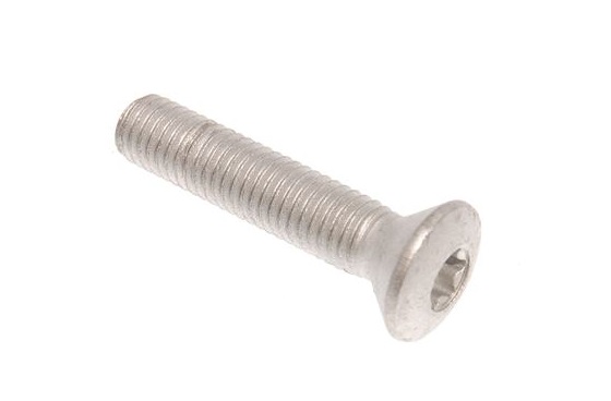 Tornillo de bisagra - Torx