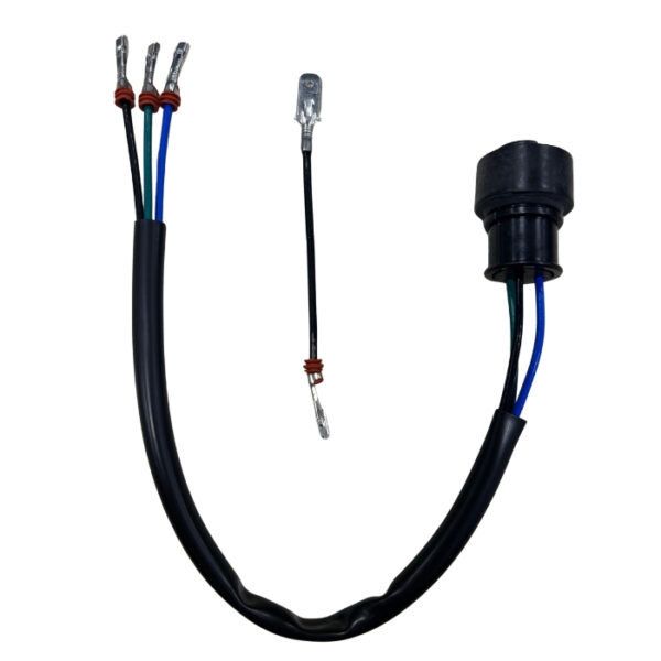 Cableado - de Bomba Combustible V8 EFI