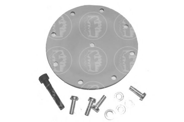 Membrana Reparación Depresor Autoplas