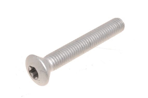 Tornillo Bisagra Puerta Trasera Lateral