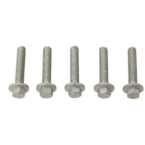 gilkwf4v_fs106307l Tornillo - 5 Unidades