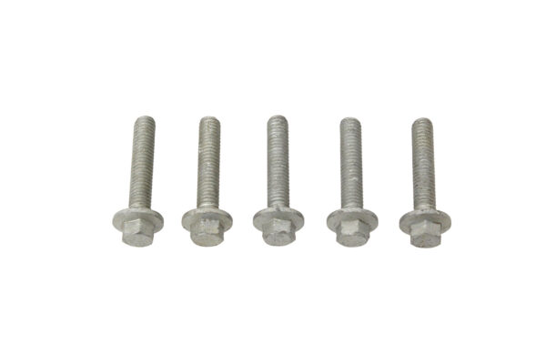 Tornillo - 5 Unidades
