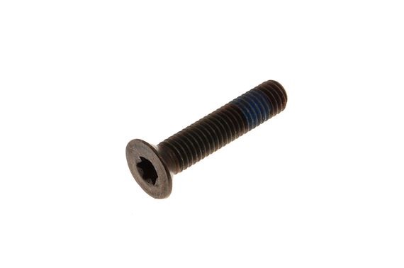 Tornillo de Pivote Inferior Avellanado