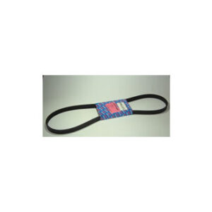 hactpgwf_err914 Correa Ventilador Alternador