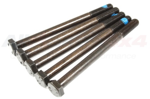 Tornillo de Anclaje de Placa de Paragolpes Delanteros (Unidad)