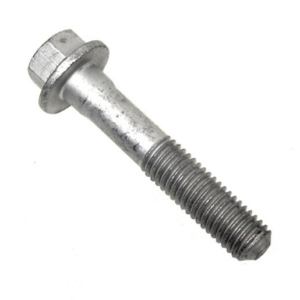 ww3vsafc_bx Tornillo M 10 x 55